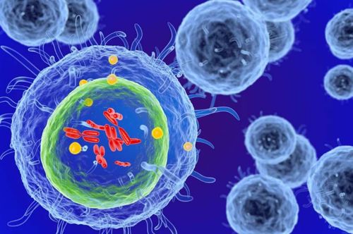 細(xì)胞治療 以生命修復(fù)生命，干細(xì)胞技術(shù)引領(lǐng)現(xiàn)代醫(yī)學(xué)革命